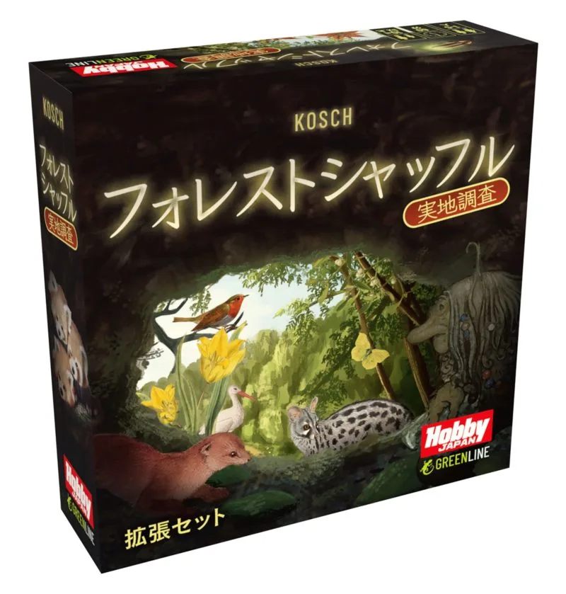 フォレストシャッフル 実地調査