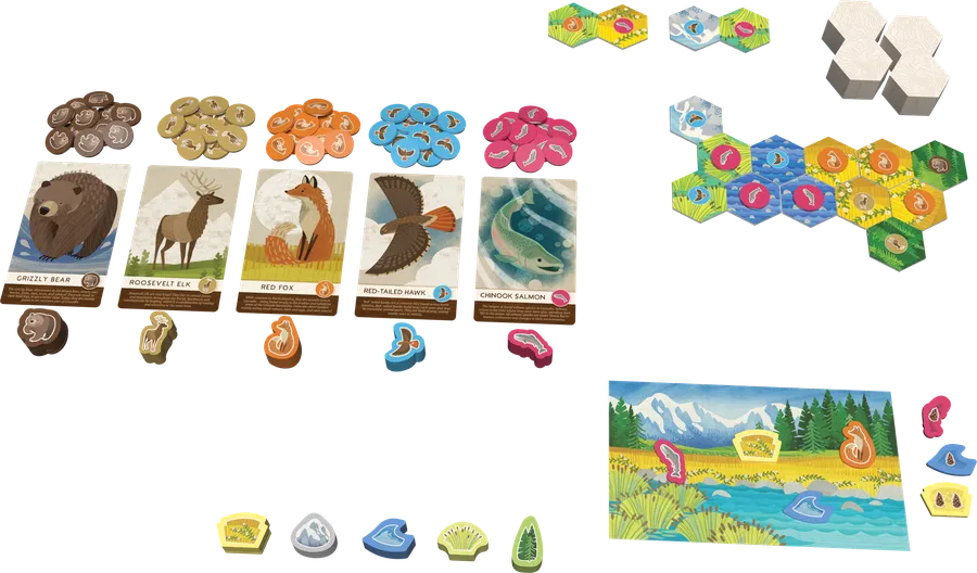 『カスカディアジュニア』の内容物一式（タイル・マーカー・カードなど）