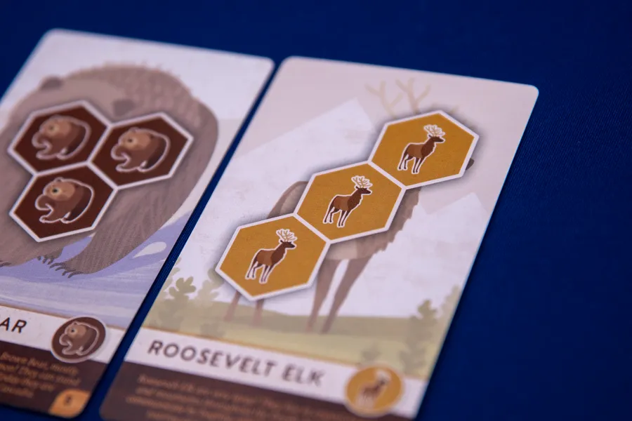 『カスカディア・ジュニア』上級モードで動物カードの形状パターンを確認する様子