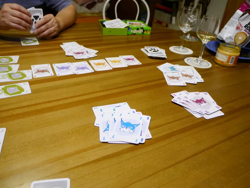 アブルクセン／リンコのプレイイメージ