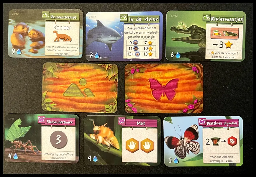 景観カードと昆虫カード