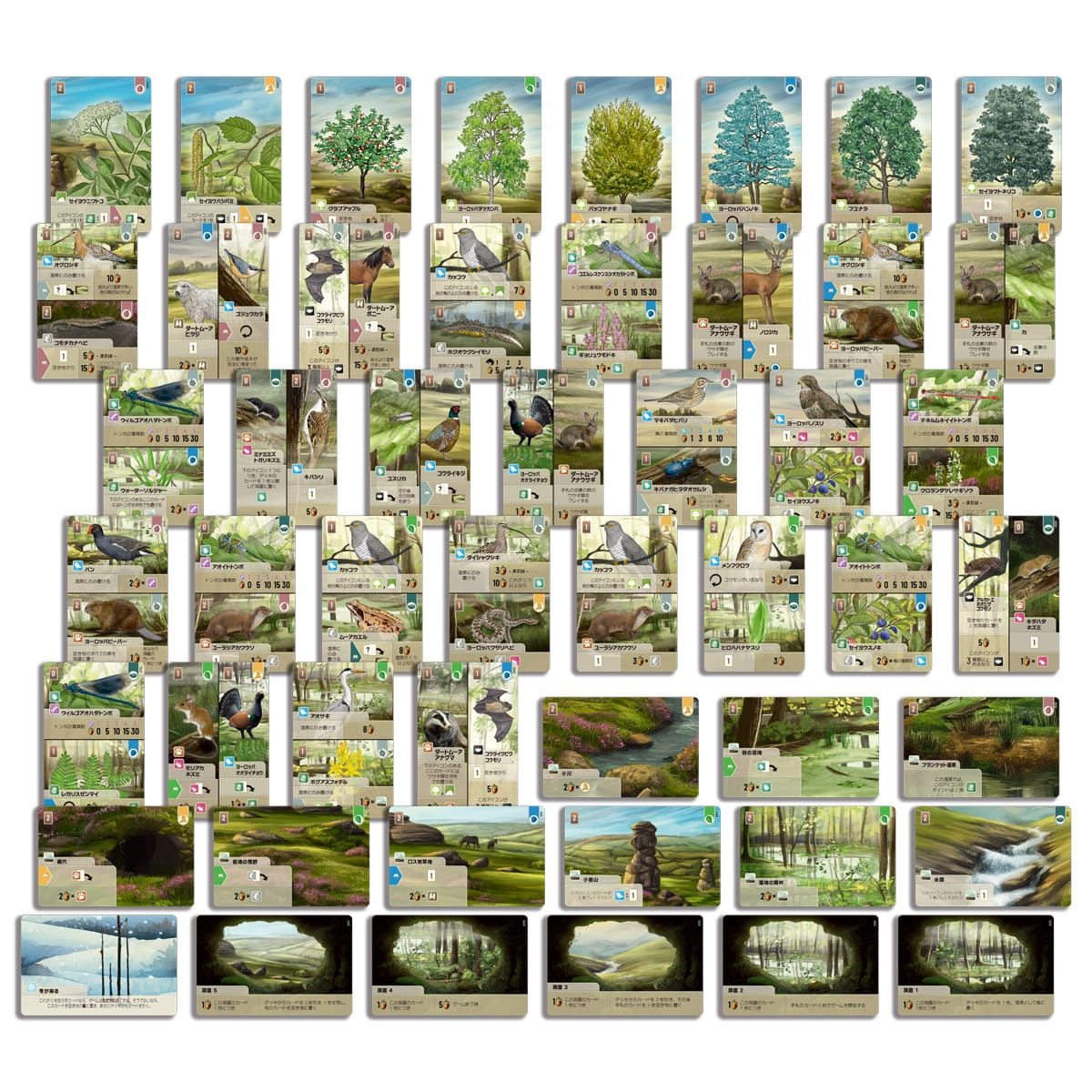 フォレスト シャッフル:ダートムーアのカード構成（木・地形・動植物）
