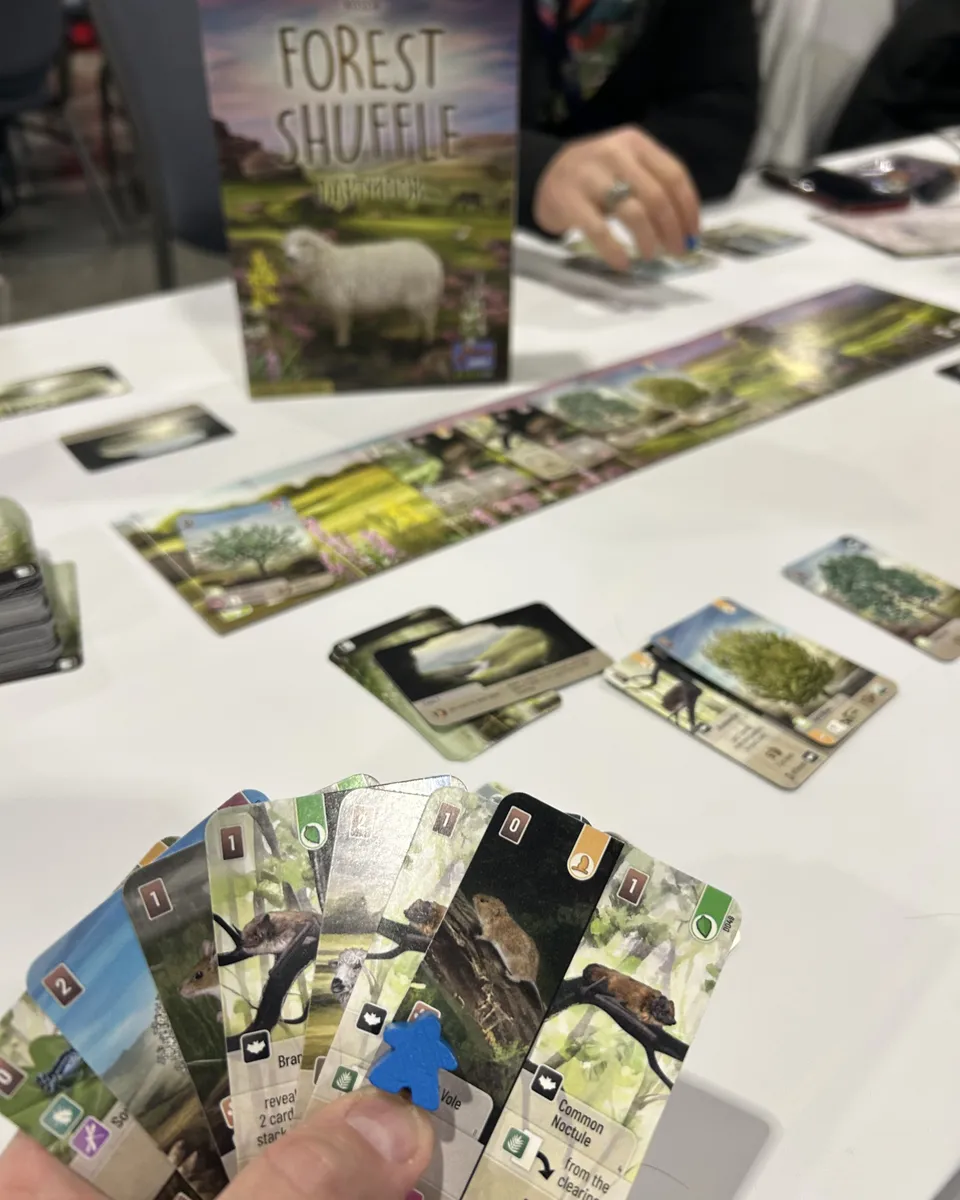 フォレスト シャッフル ダートムーアのプレイイメージ