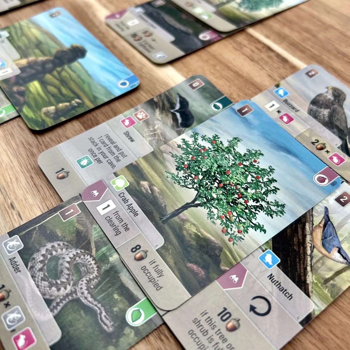 フォレストシャッフル：ダートムーアの木とカード配置例