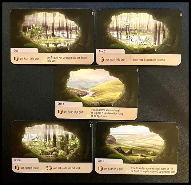 フォレストシャッフル：ダートムーアの洞窟カード