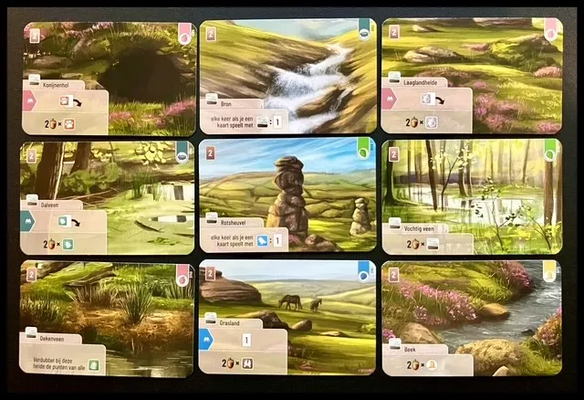 フォレストシャッフル：ダートムーアの地形（湿原）カード