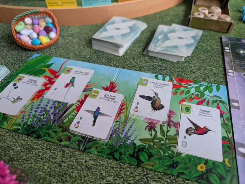 ウイングスパン中南米の翼におけるハチドリアクション中のプレイイメージ